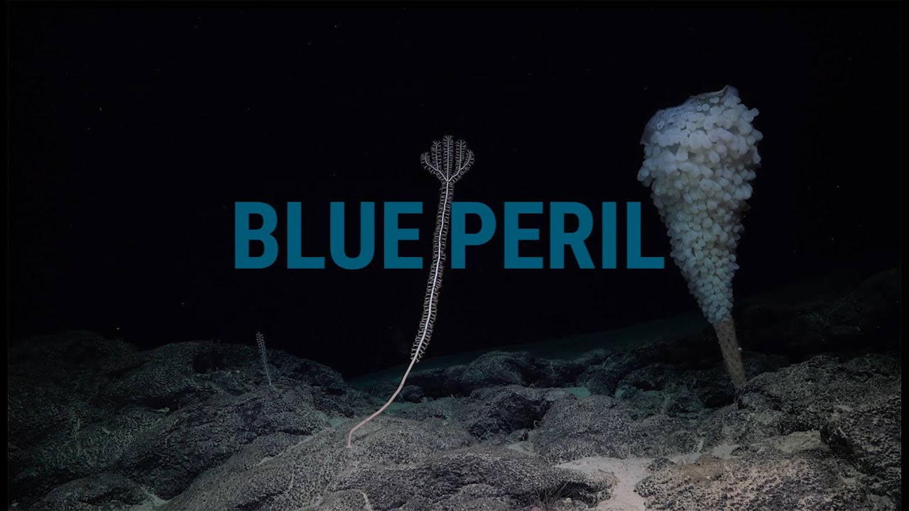 Blue Peril film title over an image of deep-sea life