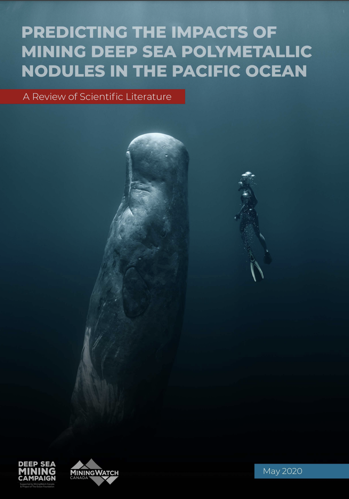 Cover of Scientific literature review